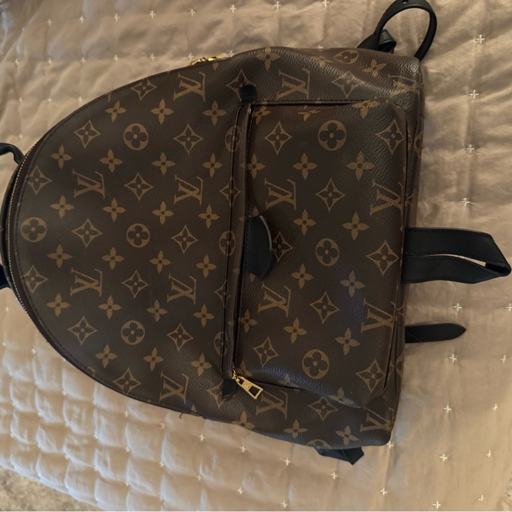 Louis Vuitton backpack